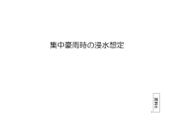 【資料6】集中豪雨時の浸水想定（PDF：985KB）