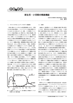 新生児・小児期の精巣機能