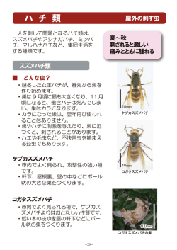 ダウンロード7（PDF：1030KB）