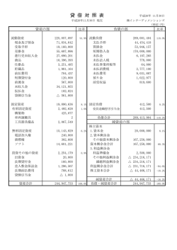 貸 借 対 照 表 - インターディメンションズ