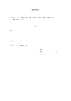 遅延理由書（PDF形式 4キロバイト）