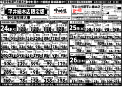 平井総本店限定版