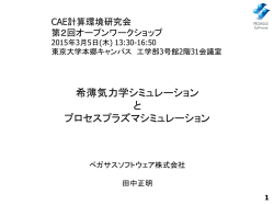 file - CAE計算環境研究会