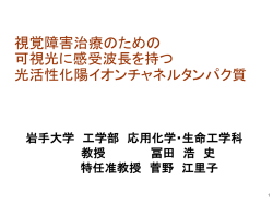 当日配布資料（3.68MB）