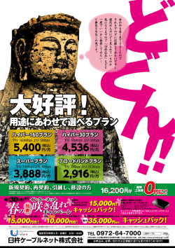 咲き乱れ - 大分ケーブルテレコム