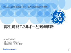 資料DL - 自然エネルギー財団