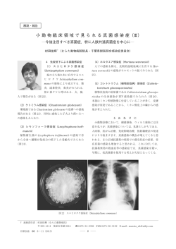 小動物臨床領域で見られる真菌感染症（Ⅲ）今後注目す