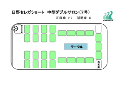 日野セレガショート 中型ダブルサロン（7号）