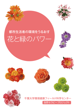 リーフレット(PDF：1451KB)