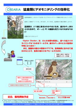 猛禽類ビデオモニタリングの効率化