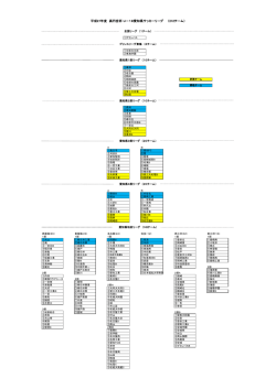 平成27年度 高円宮杯 U－18愛知県サッカーリーグ （212チーム）