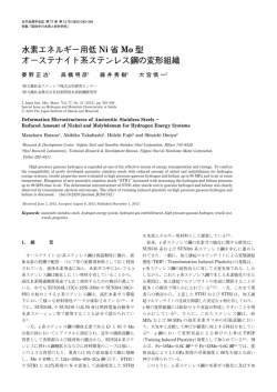 水素エネルギー用低 Ni 省 Mo 型 オーステナイト系ステンレス鋼の変形組織