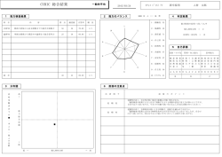 CUBIC 総合結果;pdf