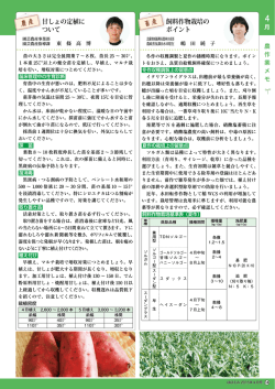 甘しょの定植について;pdf