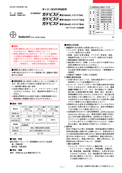 添付文書;pdf