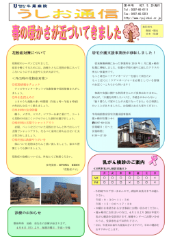 乳がん検診のご案内;pdf