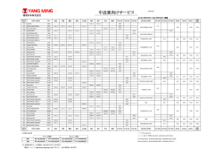 中近東向けサービス;pdf