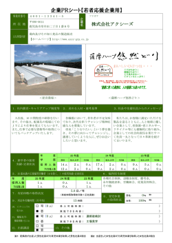 企業PRシート【若者応援企業用】;pdf