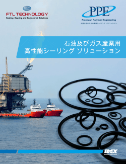 石油及びガス産業用 高性能シーリング ソリューション