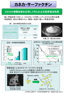 関連情報はこちら