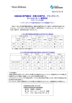 家電大型専門店、ドラッグストア、 ホームセンター