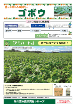 ゴボウ - 味の素ヘルシーサプライ