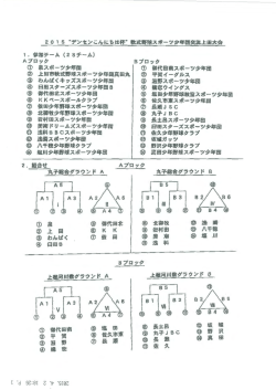 2015 "デンセンこんにちは杯"