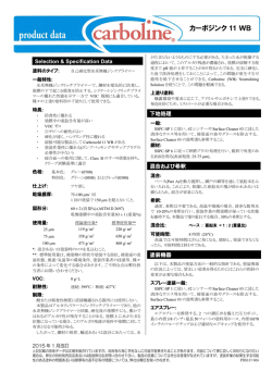 カーボジンク 11 WB