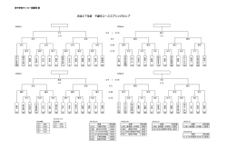平成27年度 千葉市ユーススプリングカップ