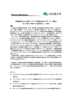 神経難病ALSの進行にグリア細胞由来のTGF-&beta;1が関与ー