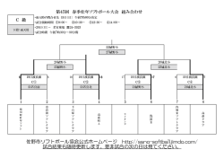 ダウンロード - 栃木県 佐野市ソフトボール協会 佐野支部 ホームページ