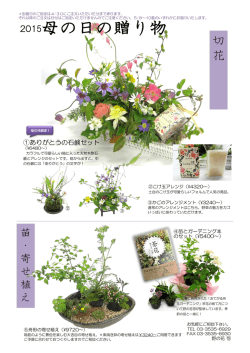 母の日の贈り物 - 野の花 司