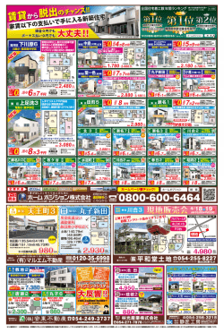 葵・駿河版（3）