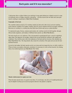 Back pain and if it was muscular